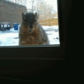 Sloth (USA-2) : Now's My Chance 2 Snatch Some Stash